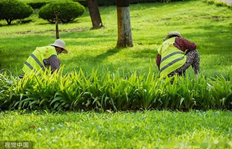 苹果会在5g万物互联尴尬吗